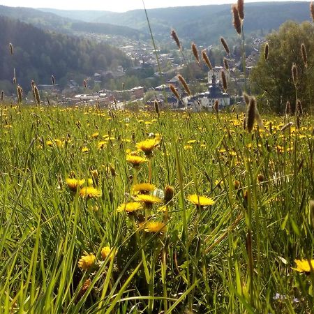Ferienwohnung Doehlerwald Klingenthal Luaran gambar