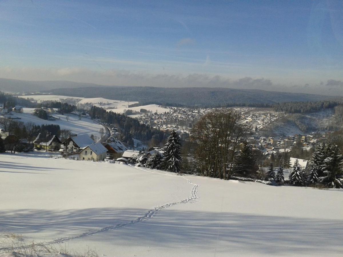 Ferienwohnung Doehlerwald Klingenthal Luaran gambar