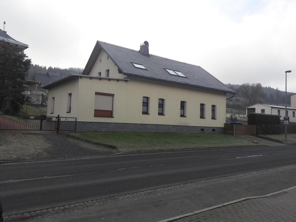 Ferienwohnung Doehlerwald Klingenthal Luaran gambar
