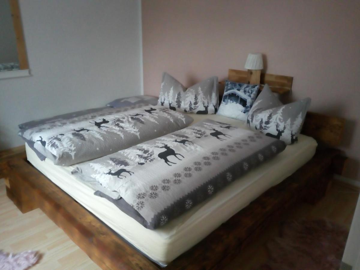 Ferienwohnung Doehlerwald Klingenthal Luaran gambar