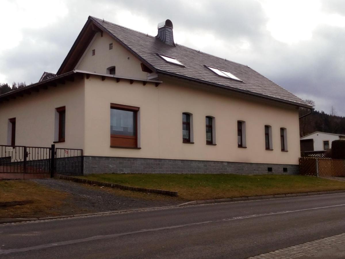 Ferienwohnung Doehlerwald Klingenthal Luaran gambar