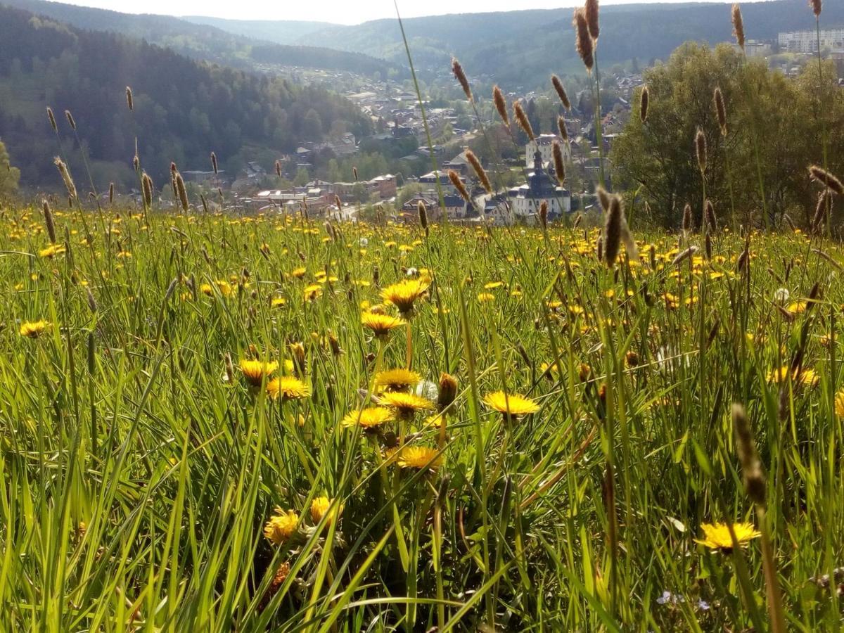 Ferienwohnung Doehlerwald Klingenthal Luaran gambar